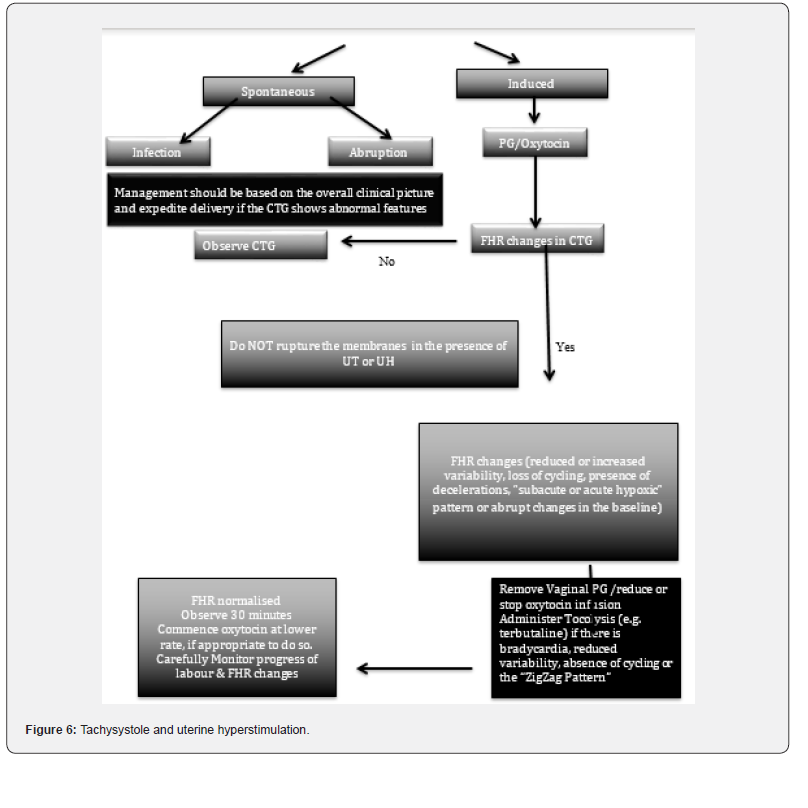 Click here to view Large Figure 6