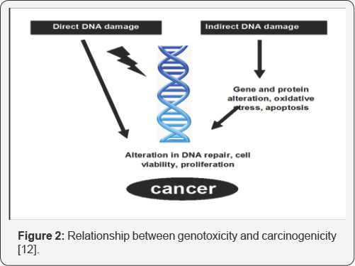 Click here to view Large Figure 2