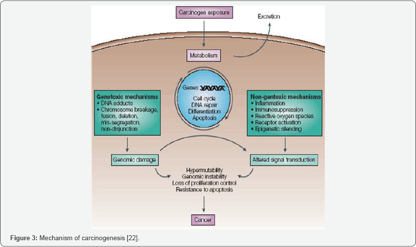 Click here to view Large Figure 3