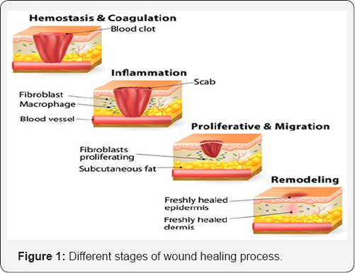 Click here to view Large Table 1