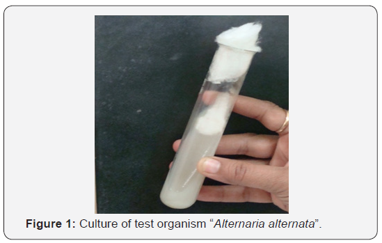 Click here to view Large Figure 1