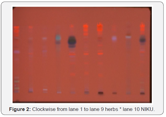 Click here to view Large Figure 2