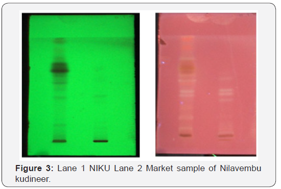 Click here to view Large Figure 3