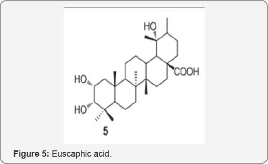 Click here to view Large Figure 5