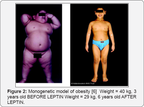 Click here to view Large Figure 2