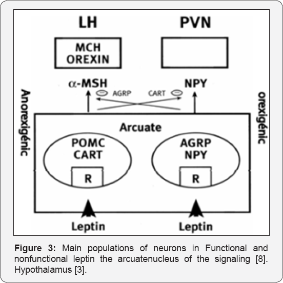 Click here to view Large Figure 3