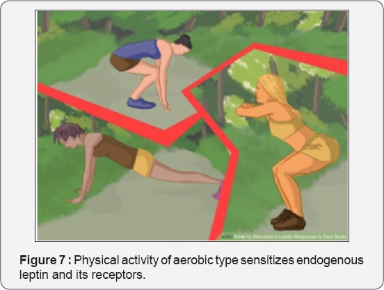 Click here to view Large Figure 7