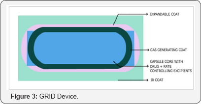 Click here to view Large Figure 3