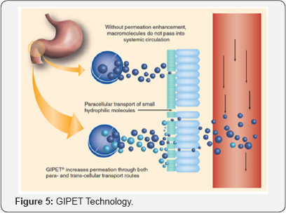 Click here to view Large Figure 5