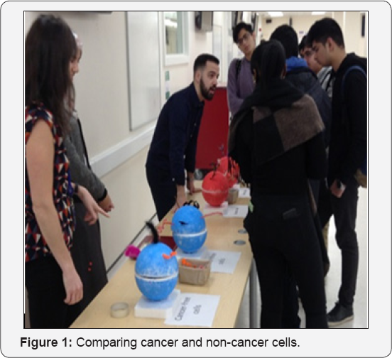 Click here to view Large Figure 1