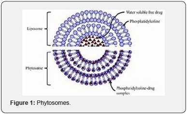 Click here to view Large Figure 1