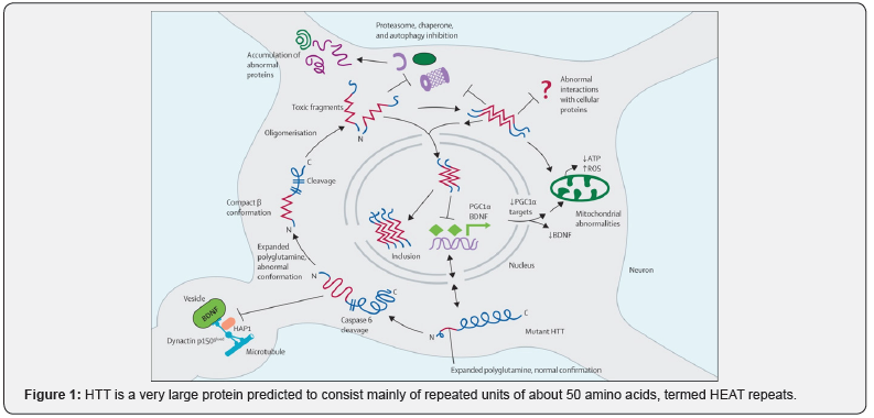 Click here to view Large Figure 1