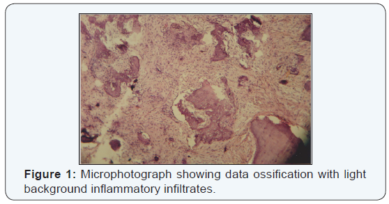 Click here to view Large Figure 1