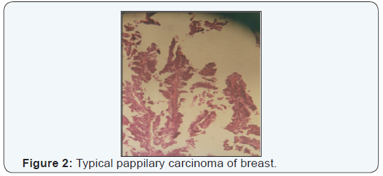 Click here to view Large Figure 2