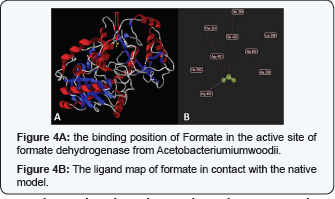 Click here to view Large Figure 4