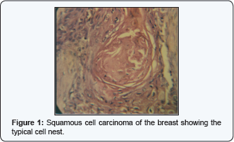 Click here to view Large Figure 1