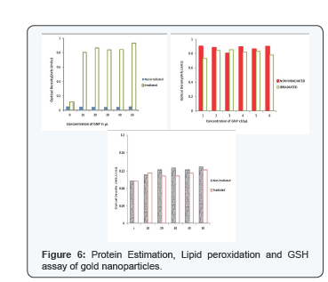 Click here to view Large Figure 6