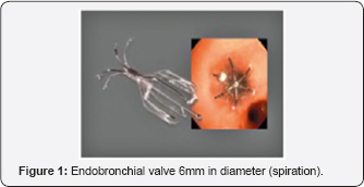 Click here to view Large Figure 1