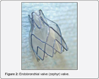 Click here to view Large Figure 2