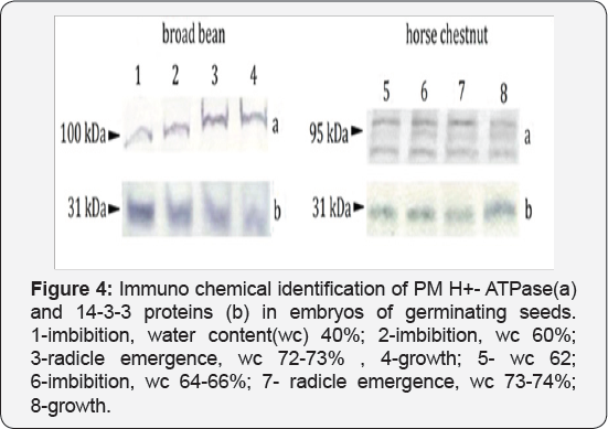 Click here to view Large Figure 3
