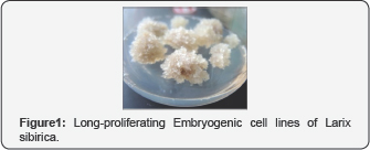 Click here to view Large Figure 3