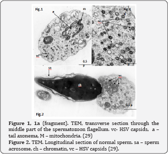 Click here to view Large Figure 1