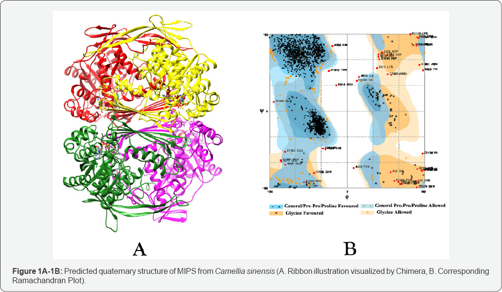 Click here to view Large Table 10