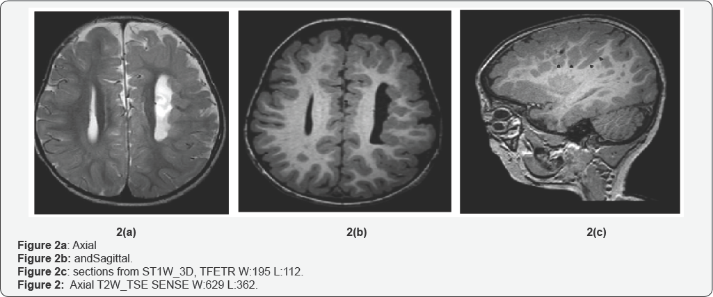Click here to view Large Figure 2