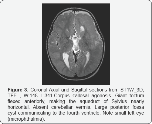 Click here to view Large Figure 3