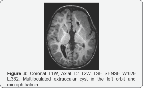Click here to view Large Figure 1