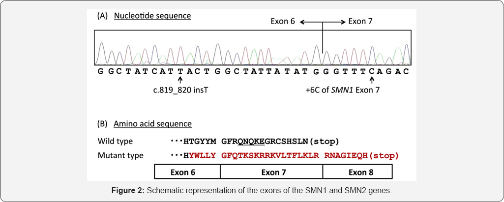 Click here to view Large Figure 2