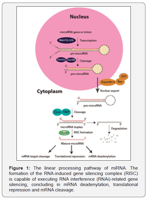 Click here to view Large Figure 1