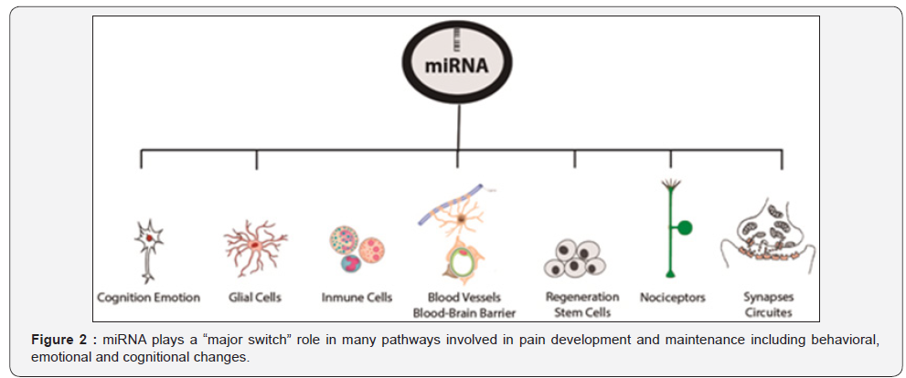 Click here to view Large Figure 2
