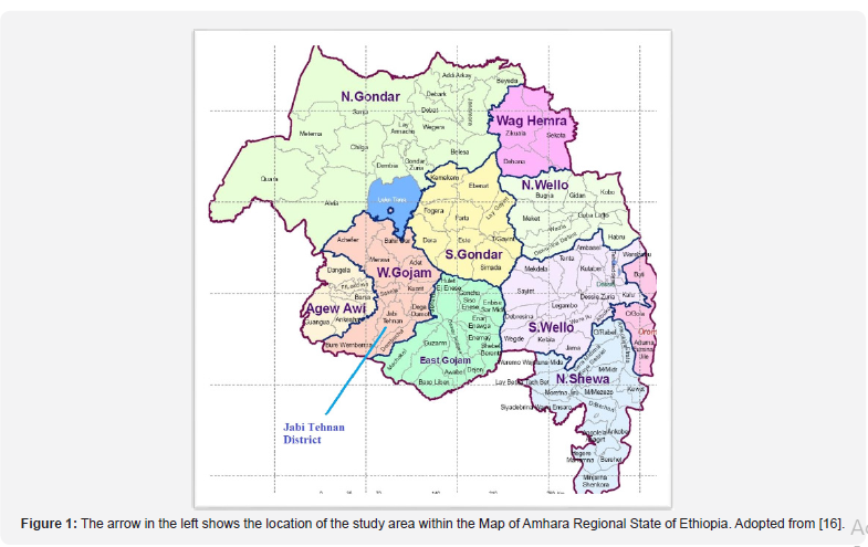 Click here to view Large Figure 1