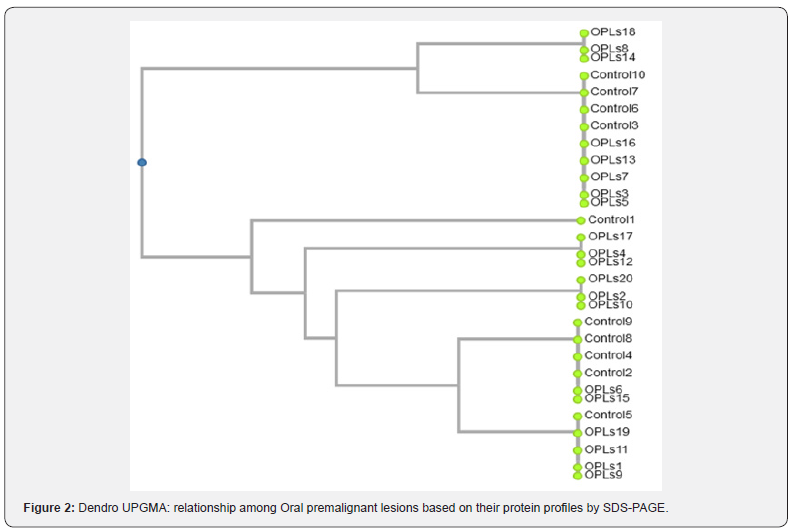 Click here to view Large Figure 2