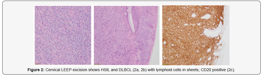 Click here to view Large Figure 2
