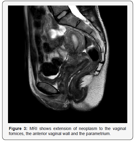 Click here to view Large Figure 3