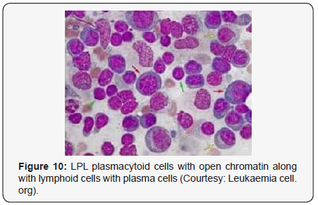 Click here to view Large Figure 10