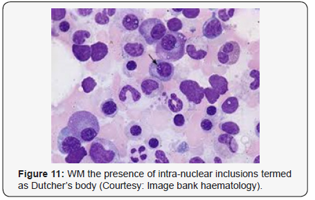 Click here to view Large Figure 11
