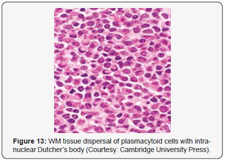 Click here to view Large Figure 13