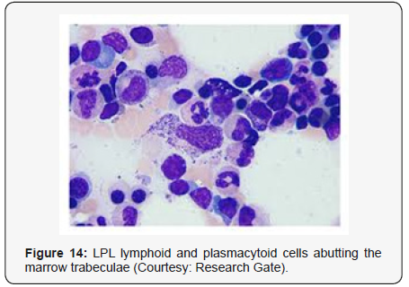 Click here to view Large Figure 14