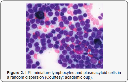 Click here to view Large Figure 2