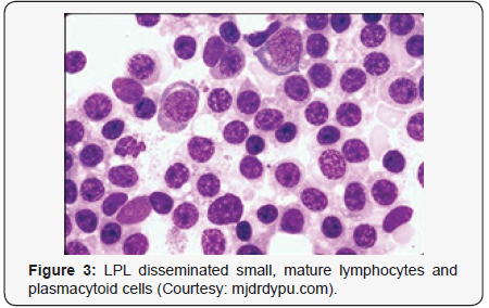 Click here to view Large Figure 3