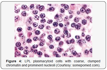Click here to view Large Figure 4