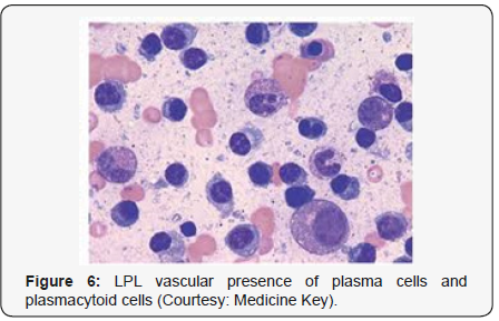 Click here to view Large Figure 6