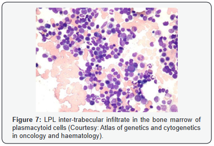 Click here to view Large Figure 7