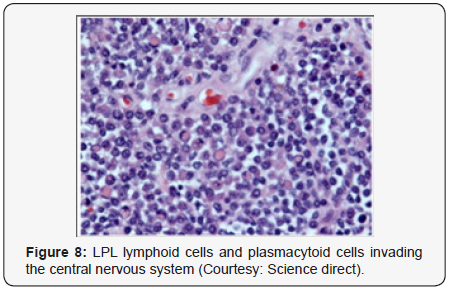Click here to view Large Figure 8