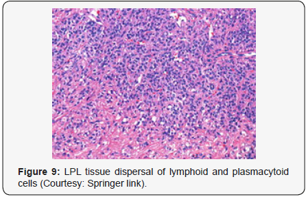 Click here to view Large Figure 9