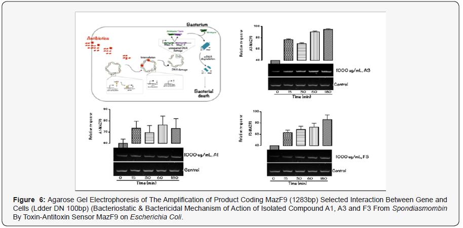 Click here to view Large Figure 6:
