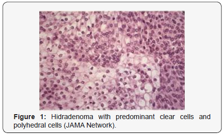 Click here to view Large Figure 1